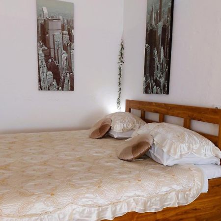 Exkluzivni Apartman V Prizemi V Hradci Kralove Градець-Кралове Екстер'єр фото